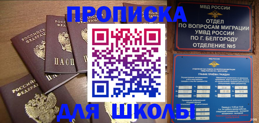 прописка гарантия в Шлиссельбурге
